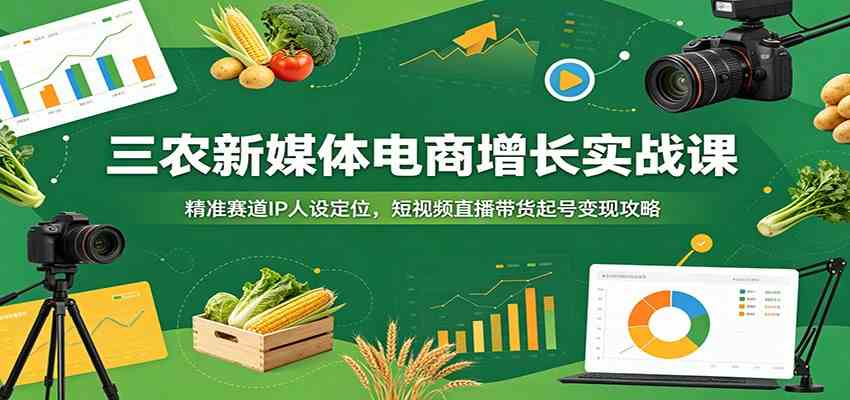 三农新媒体电商增长实战课：精准赛道IP人设定位，短视频直播带货起号变现攻略-小灰云创