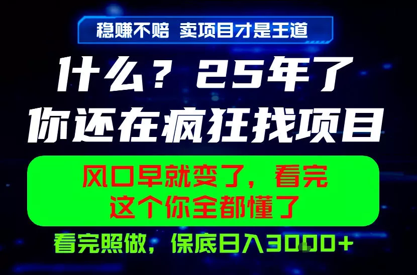 26年,请不要疯狂的找项目做了!卖项目才是真的稳賺不赔,看完照做,保底日入1k+【揭秘】-小灰云创