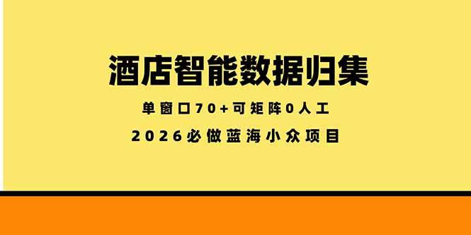 (18500期)酒店智能数据归集,小众蓝海已经稳定半年之久,单窗口70+零成本矩阵开干-小灰云创