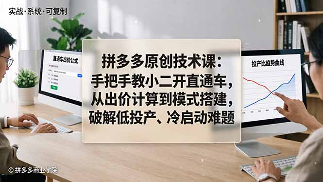 拼多多原创技术课：手把手教小二开直通车，从出价计算到模式搭建，破解低投产、冷启动难题-小灰云创