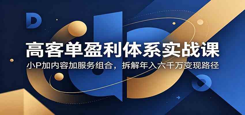 高客单盈利体系实战课:小P加内容加服务组合,拆解年入六千万变现路径-小灰云创