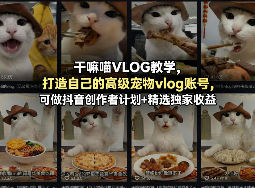 干嘛喵VLOG教学，打造自己的高级宠物vlog账号，可做抖音创作者计划+精选独家收益-小灰云创