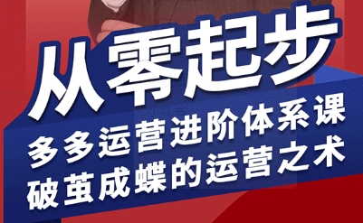 拼多多运营进阶系统课，从零起步，多多运营进阶体系课，破茧成蝶的运营之术（更新26年4月）-小灰云创