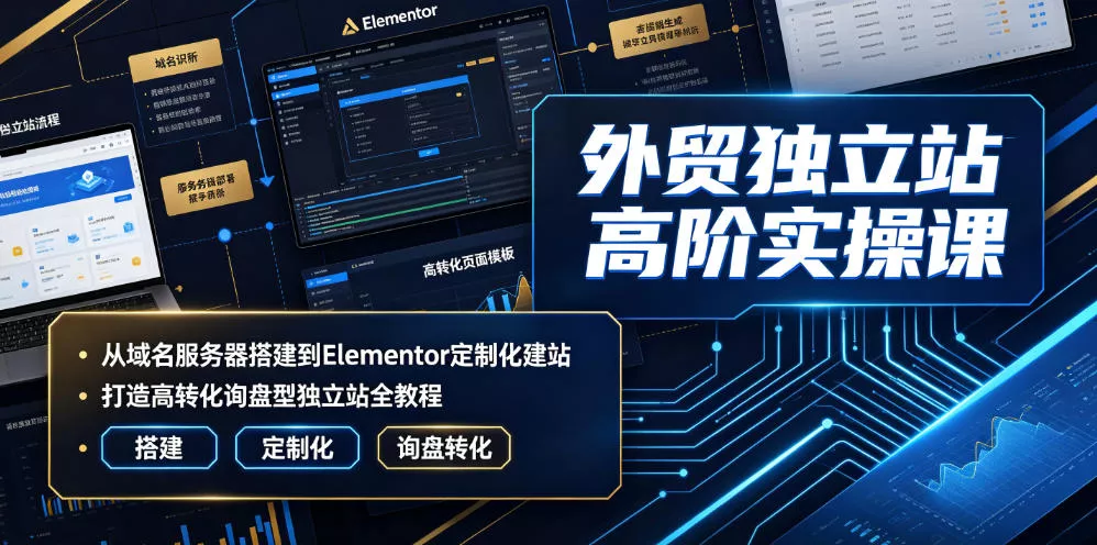 外贸独立站高阶实操课|从域名服务器搭建到Elementor定制化建站,打造高转化询盘型独立站全教程-小灰云创