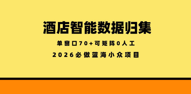 酒店智能数据归集,小众蓝海已经稳定半年之久,单窗口70+零成本矩阵开干【揭秘】-小灰云创
