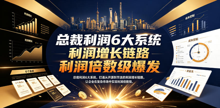 总裁利润6大系统，打通从开源到节流的利润增长链路，让企业在复杂市场中实现利润倍数级爆发-小灰云创