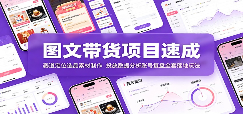 图文带货项目速成:赛道定位选品素材制作,投放数据分析账号复盘全套落地玩法-小灰云创