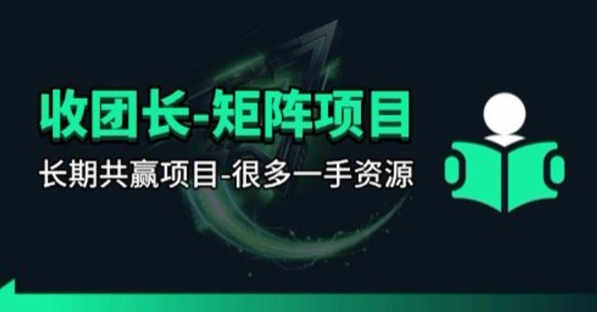 【团长合作】视频矩阵项目_招发手矩阵+剪辑师,共赢项目【揭秘】-小灰云创