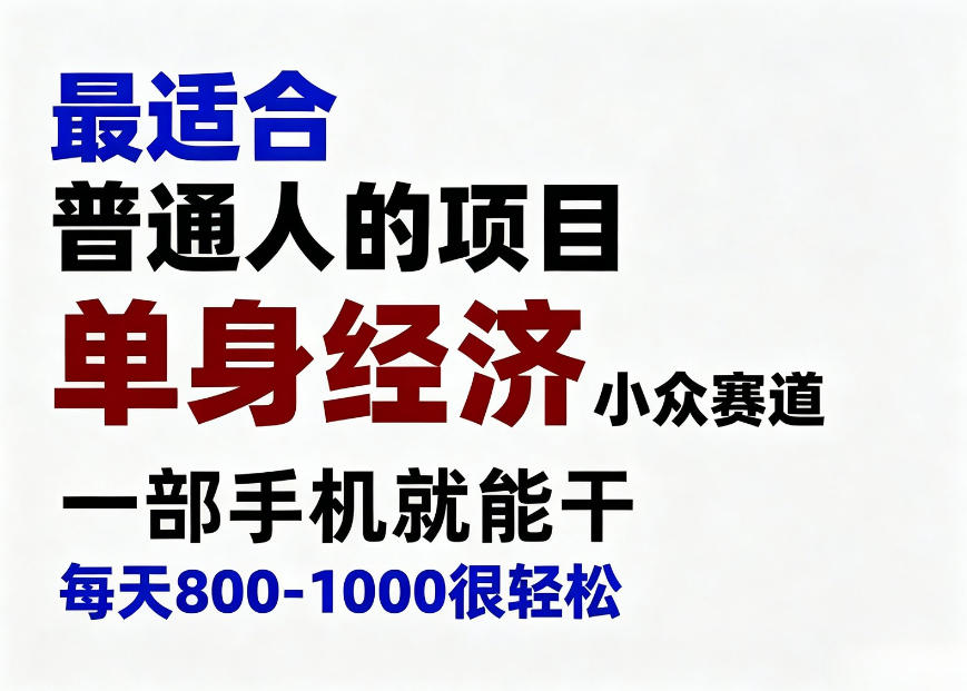 身经济小众赛道,一部手机就能干,每天搞个800-1000很轻松,最适合普通人的项目【揭秘】-小灰云创