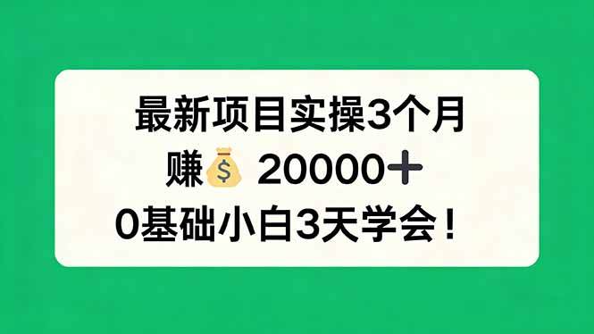 （17856期）最新项目实操3个月，赚钱20000+，0基础小白3天学会！-小灰云创