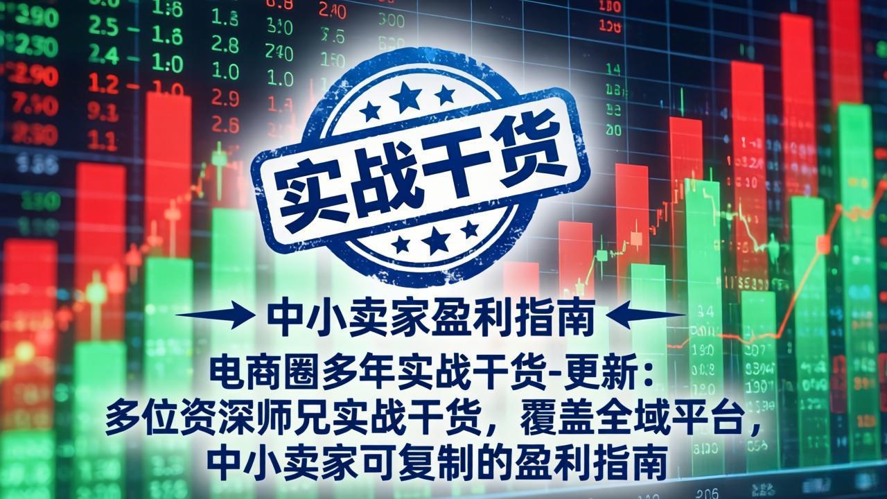 电商圈多年实战干货-更新5月10:多位资深师兄实战干货/覆盖全域平台,中小卖家可复制的盈利指南-小灰云创