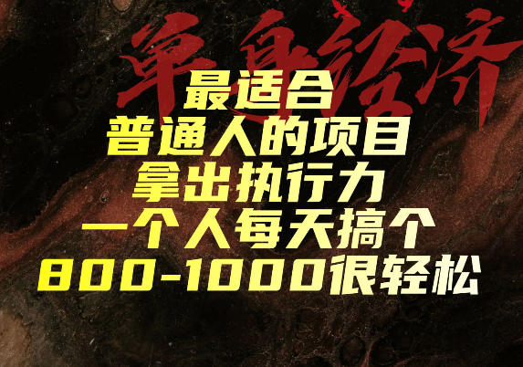 最适合普通人的项目，拿出执行力一个人每天搞个800-1k很轻松【揭秘】-小灰云创