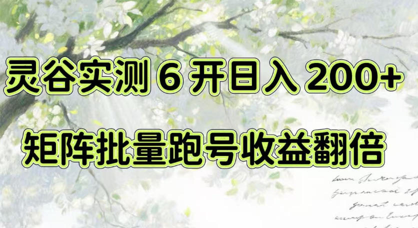 一台电脑就能做!灵谷实测6开日入200+,矩阵批量跑号收益翻倍【揭秘】-小灰云创