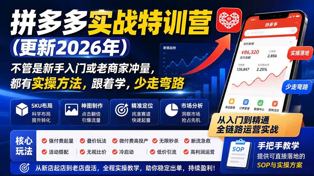 (20092期)拼多多实战特训营(更新26年0827):不管是新手入门或老商家冲量,都有实操方法,跟着学,少走弯路-小灰云创