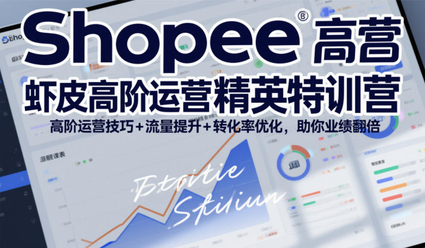 Shopee虾皮高阶运营精英特训营,高阶运营技巧+流量提升+转化率优化,助你业绩翻倍(更新26年5月)-小灰云创