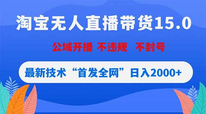 （18562期）淘宝无人直播带货15.0，不封号，不违规，公域玩法，首发全网日入2000+-小灰云创
