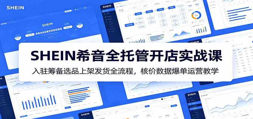 SHEIN希音全托管开店实战课：入驻筹备选品上架发货全流程，核价数据爆单运营教学-小灰云创