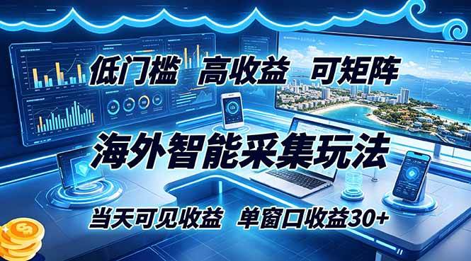 （18955期）海外智能采集玩法，低门槛高单价可矩阵，当天可见收益，单窗口30+-小灰云创