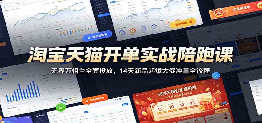 淘宝天猫开单实战陪跑课：无界万相台全套投放，14天新品起爆大促冲量全流程-小灰云创
