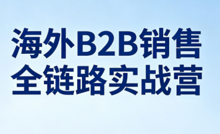 雨哥·海外B2B销售全链路实战营 - 小灰云创-小灰云创