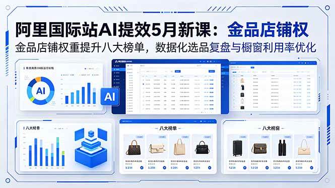（18556期）阿里国际站AI提效5月新课：金品店铺权重提升八大榜单，数据化选品复盘与橱窗利用率优化-小灰云创