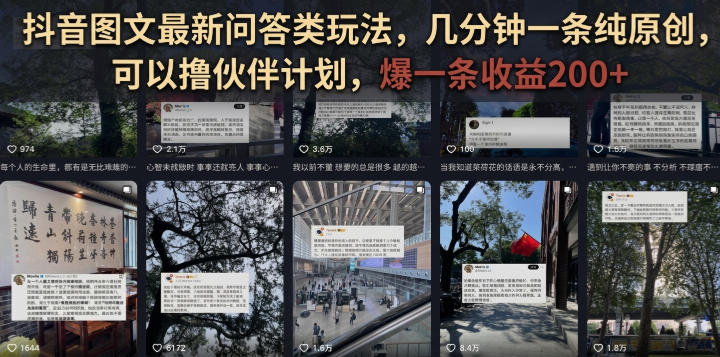 抖音图文最新问答类玩法，几分钟一条纯原创，可以撸伙伴计划，爆一条收益200+-小灰云创