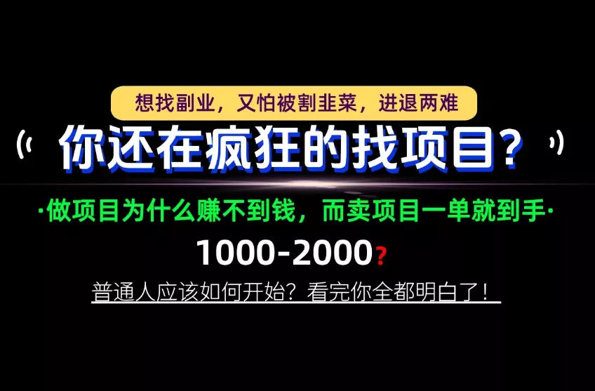 你还在疯狂的找项目？别傻了！卖项目才是真正的一本万利！怎么做，看完你全都明白！【揭秘】-小灰云创