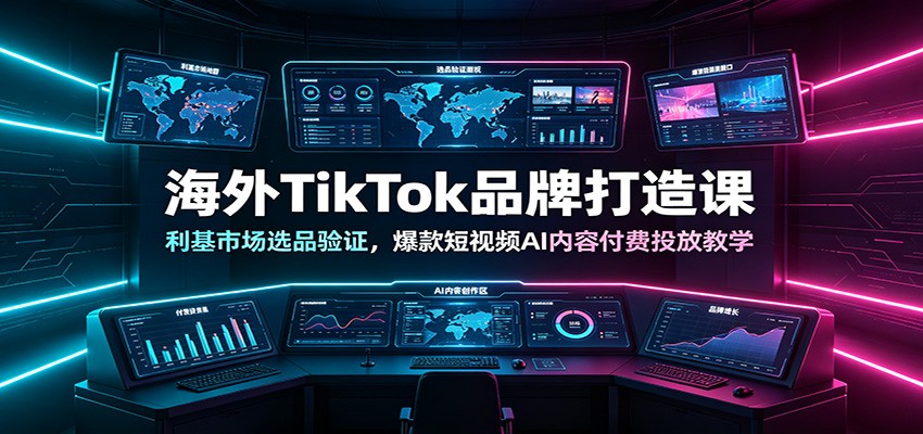 海外TikTok品牌打造课：利基市场选品验证，爆款短视频AI内容付费投放教学-小灰云创