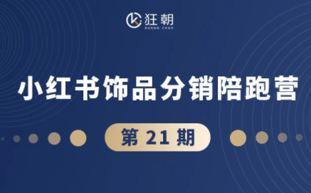 盗坤·抖音小红书视频号短视频带货与直播变现(11-21期)-小灰云创