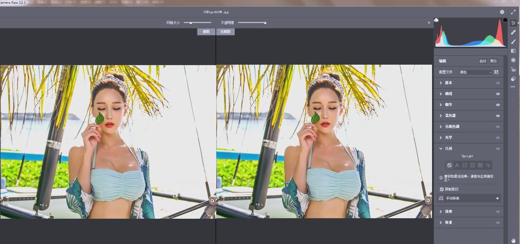 RAW处理Adobe Camera Raw v18.3.0中文版-小灰云创