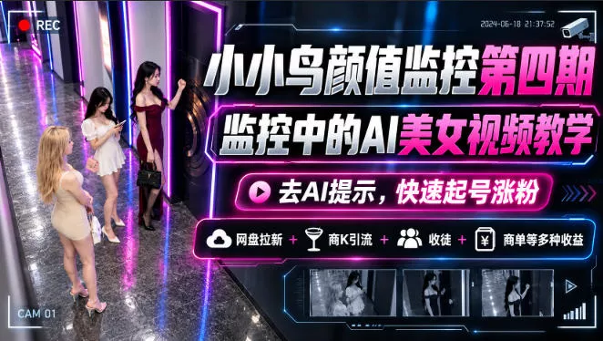小小鸟颜值监控第四期，监控中的AI美女视频教学，去AI提示，快速起号涨粉，网盘拉新+商K引流+收徒+商单等多种收益-小灰云创