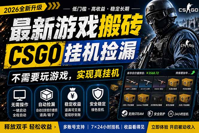 最新游戏搬砖，CSGO纯挂机，不需要玩游戏，实现真挂机，月入1W+，五一小高峰上车可吃肉，…-小灰云创