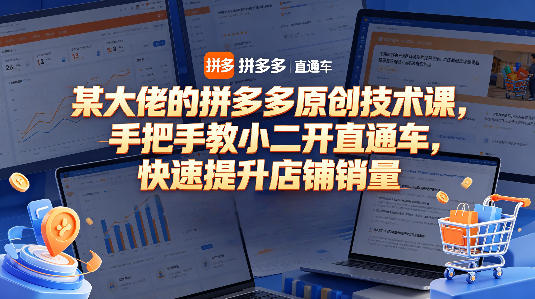 某大佬的拼多多原创技术课，手把手教小二开直通车，快速提升店铺销量-小灰云创