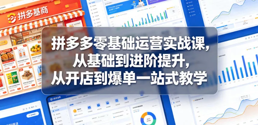 拼多多零基础运营实战课，从基础到进阶提升，从开店到爆单一站式教学-小灰云创