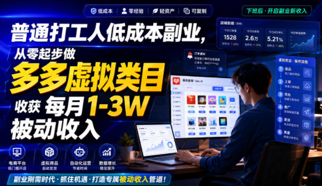 普通打工人低成本副业，从零起步做多多虚拟类目，收获每月1-3W被动收入【揭秘】-小灰云创