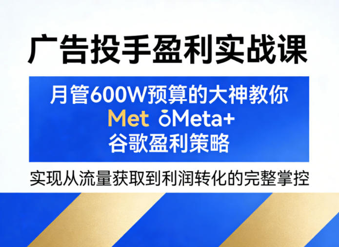 广告投手盈利实战课，月管600W预算的大神教你Meta+谷歌盈利策略，实现从流量获取到利润转化的完整掌控 - 小灰云创-小灰云创