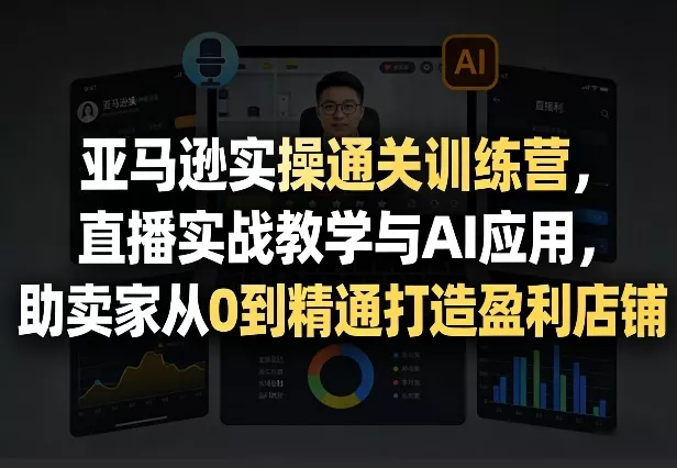 亚马逊实操通关训练营，直播实战教学与AI应用，助卖家从0到精通打造盈利店铺(更新8月8日)-小灰云创