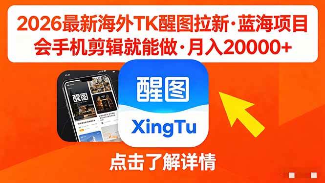 （18112期）26年最新海外Tk醒图拉新，蓝海项目，会手机剪辑就可以做，月入20000＋-小灰云创