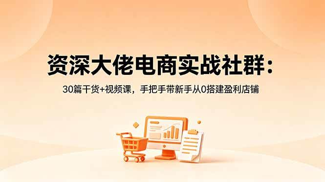 (18529期)资深大佬电商实战社群:30篇干货+视频课,手把手带新手从0搭建盈利店铺-小灰云创