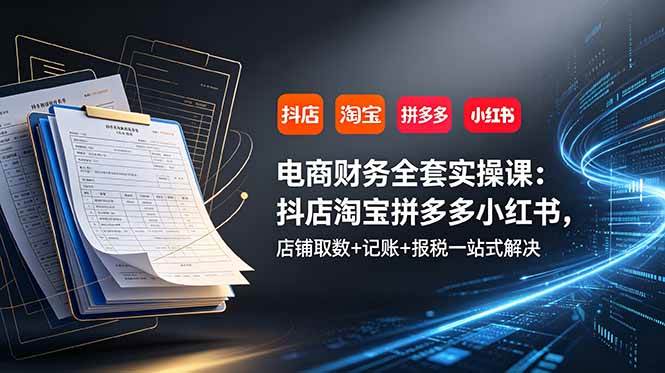 （19001期）电商财务全套实操课：抖店淘宝拼多多小红书，店铺取数+记账+报税一站式解决-小灰云创