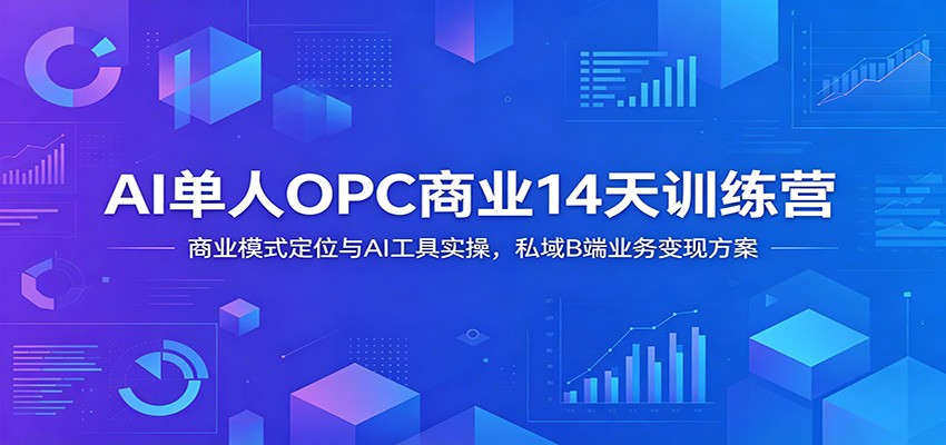 AI单人OPC商业14天训练营：商业模式定位与AI工具实操，私域B端业务变现方案-小灰云创