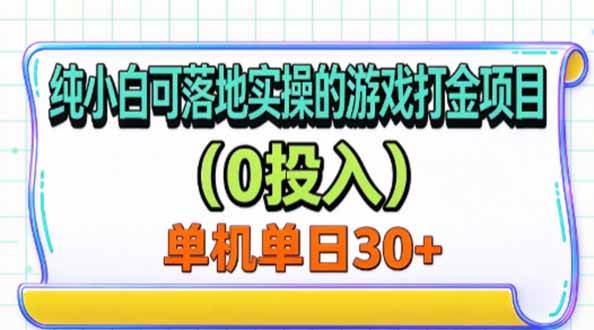 (20993期)纯小白可落地实操的游戏打金项目(0投入)单机单号30+-小灰云创