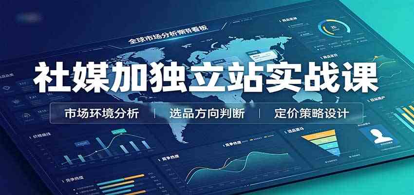 社媒加独立站实战课：市场环境选品定价，社媒运营建站，私域网红营销教学-小灰云创