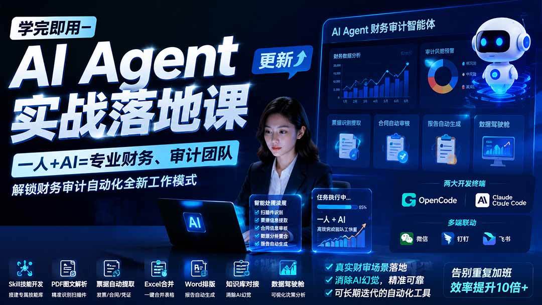 （20625期）【无水印】学完 即用-AI Agent实操落地课-更新0924：一人 + AI=专业财务、审计团队，解锁财务审计自动化全新工作模式-小灰云创