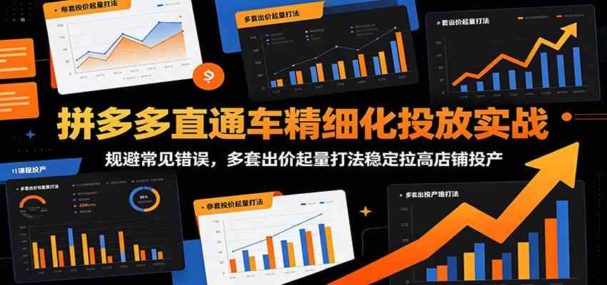 拼多多直通车精细化投放实战:规避常见错误,多套出价起量打法稳定拉高店铺投产-小灰云创