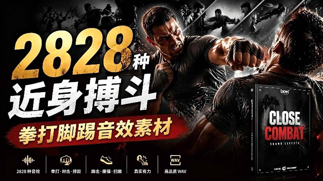 （19072期）宝藏级别音效！2828种近身搏斗拳打脚踢音效素材，全部中文分类，免解压使用 Close Combat-小灰云创
