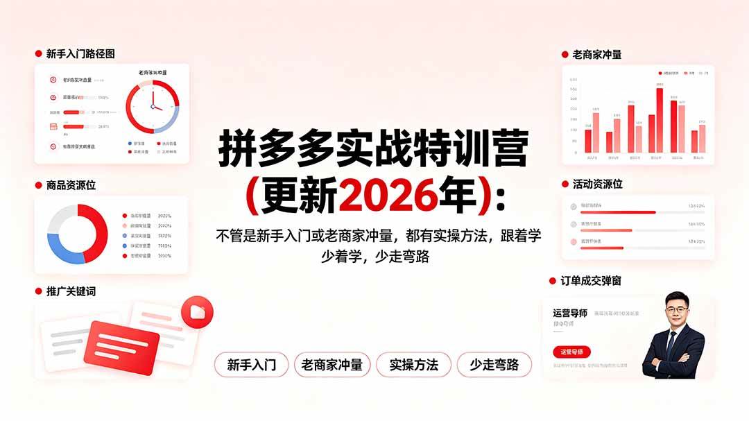 （19291期）拼多多实战特训营(更新2026年)：不管是新手入门或老商家冲量，都有实操方法，跟着学，少走弯路-小灰云创