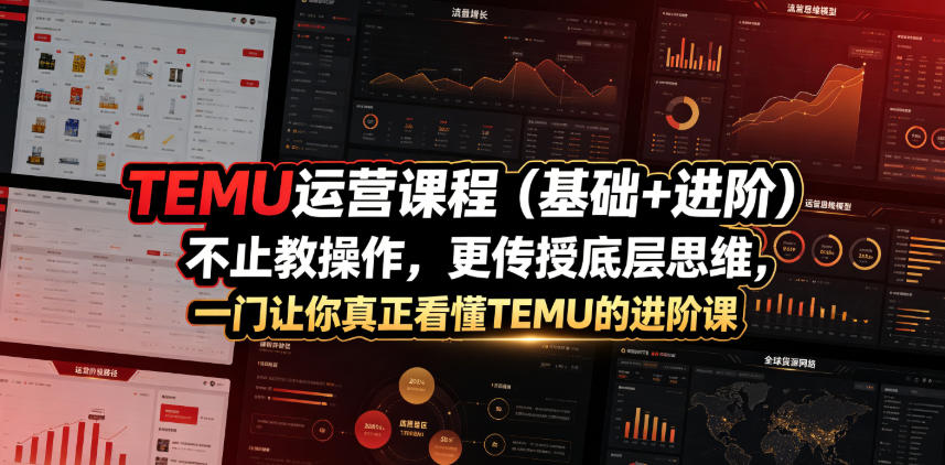 TEMU运营课程（基础+进阶），不止教操作，更传授底层思维，一门让你真正看懂TEMU的进阶课-小灰云创